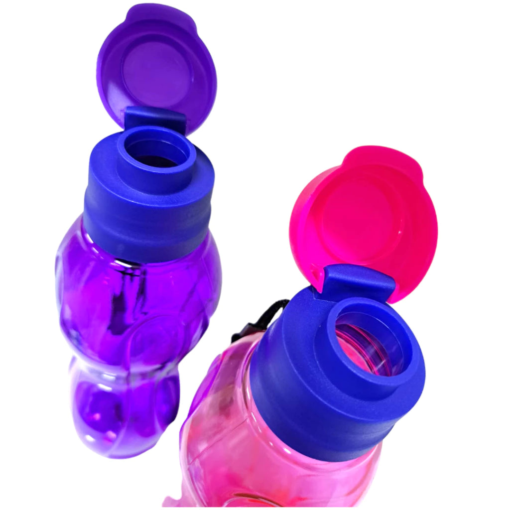 Garrafa De Água Squeeze Pet Plástico 500ml Com Diferentes Cores